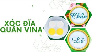 Hướng dẫn chơi Xóc đĩa quân Vina tất tần tật 13