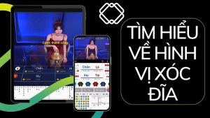 Cách nhìn hình vị xóc đĩa bách chiến bách thắng cho xóc thủ 1